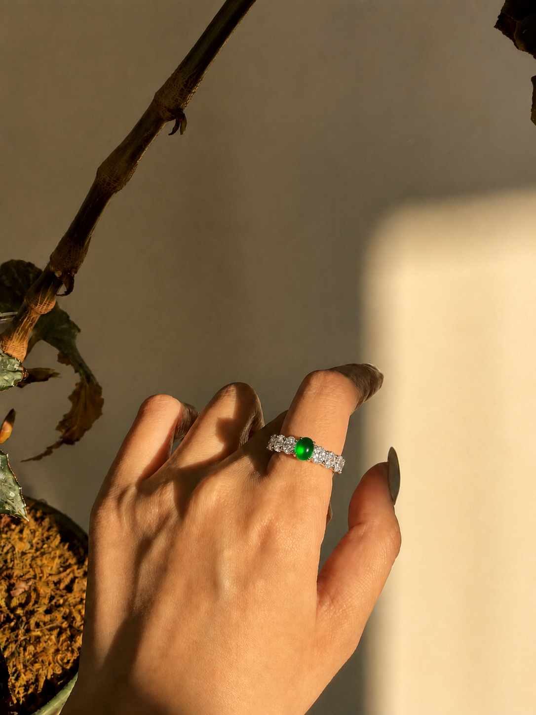 The "Focus" Jade Ring