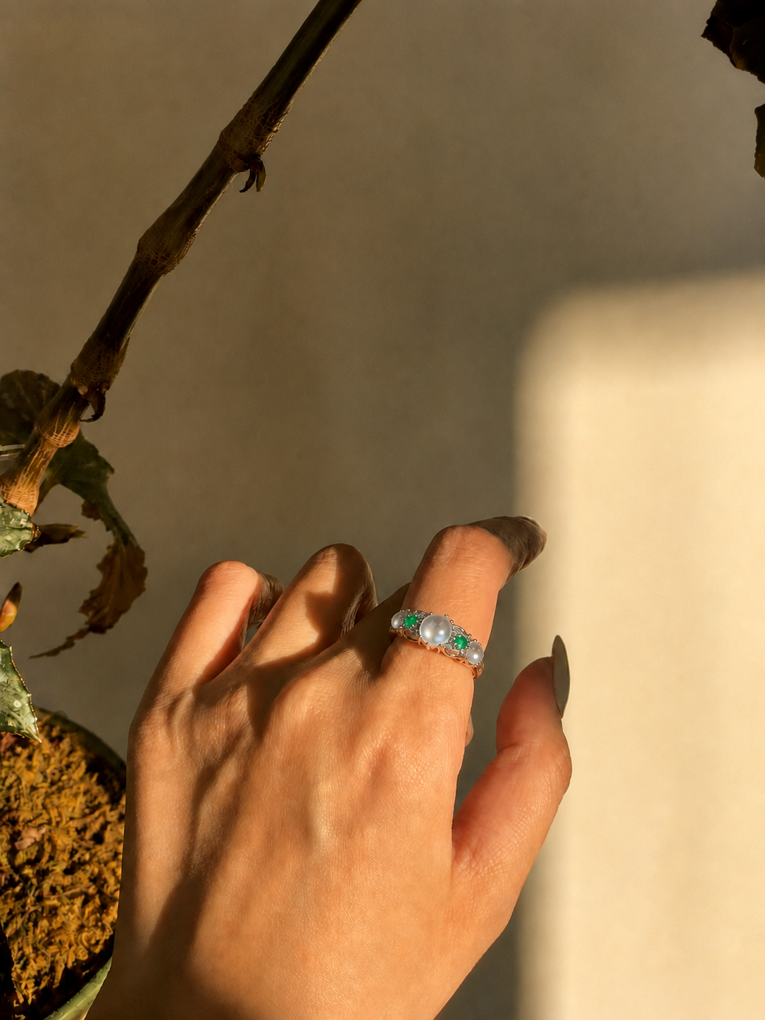 The "Pulse" Jade Ring