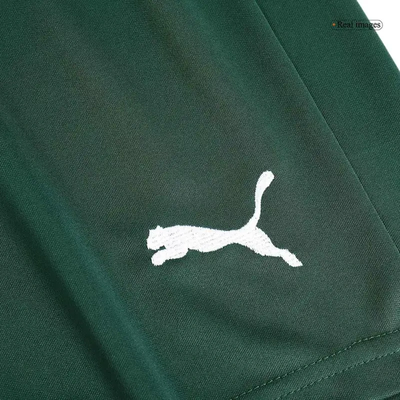SE Palmeiras 2023/24 Away Shorts Replica