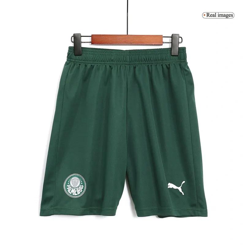 SE Palmeiras 2023/24 Away Shorts Replica