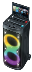 {party speaker},Shenzhen Topsound Technology Co.,Ltd.,{factory}