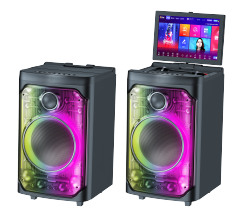 {party speaker},Shenzhen Topsound Technology Co.,Ltd.,{factory}