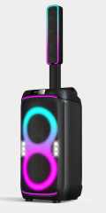{party speaker},Shenzhen Topsound Technology Co.,Ltd.,{factory}