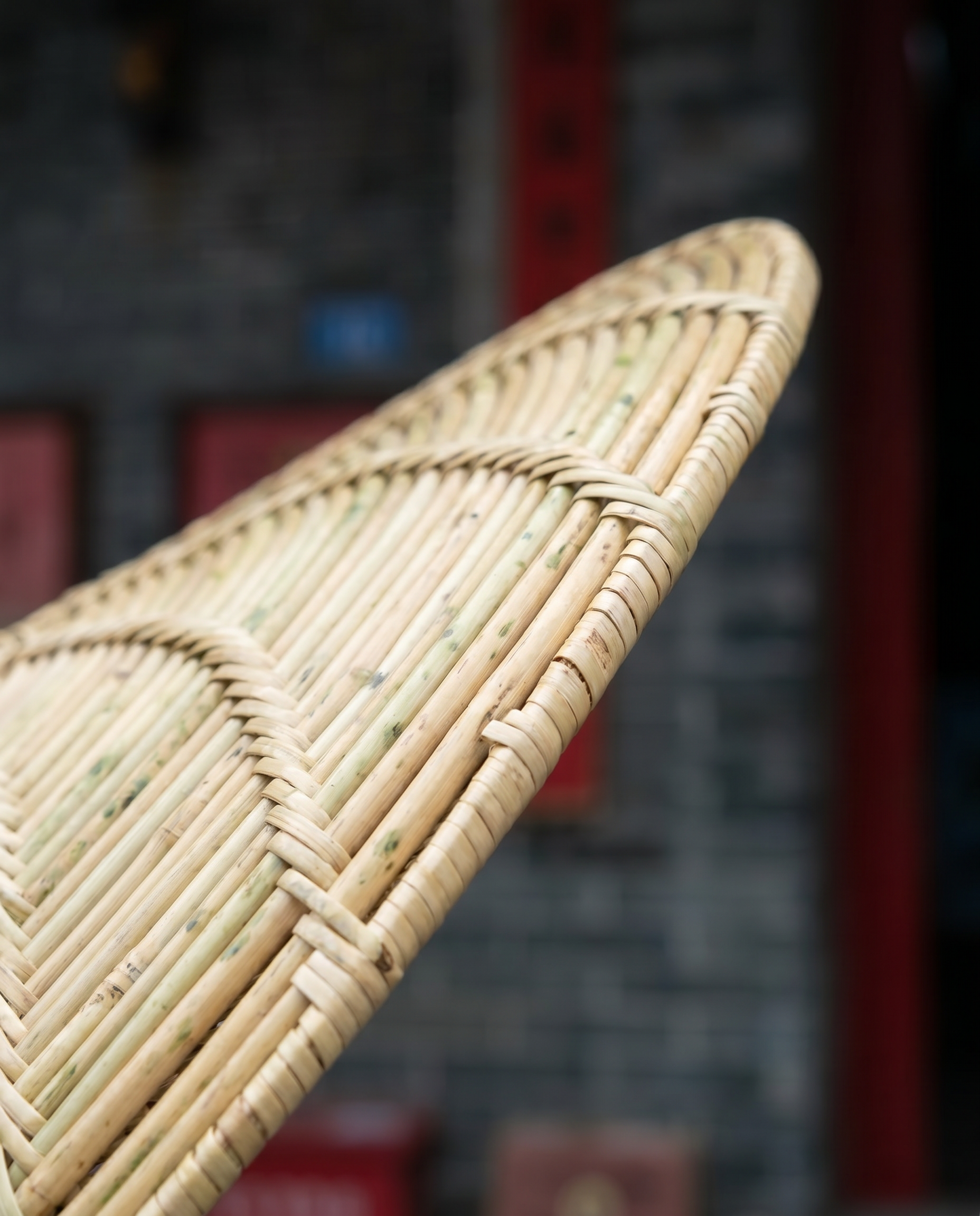 Rattan Shield