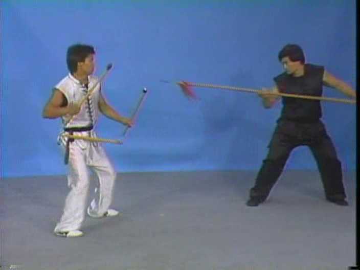 Choy Li Fut flexible weapon