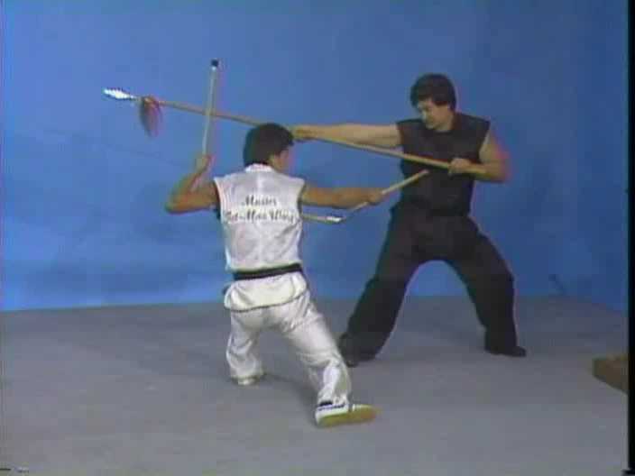 Choy Li Fut flexible weapon