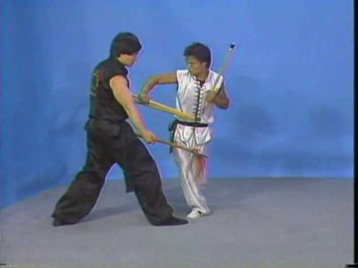 Choy Li Fut flexible weapon