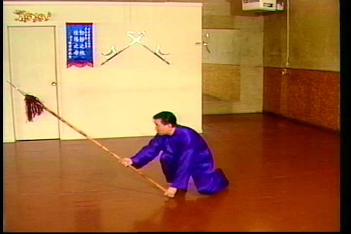 Choy Li Fut long weapon