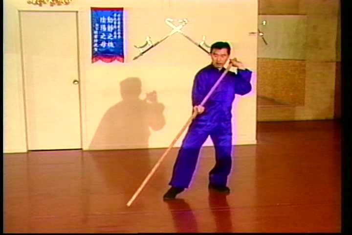Choy Li Fut long weapon