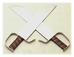 Choy Li Fut short weapon