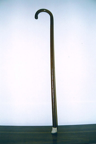 Choy Li Fut short weapon