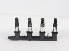 VBRIG Rail-type Ignition Coil，VB-8066A,VBRIG Ignition Coil,VBRIG Rail-type Ignition Coil，VB-8066A-VBRIG Ignition Coil
