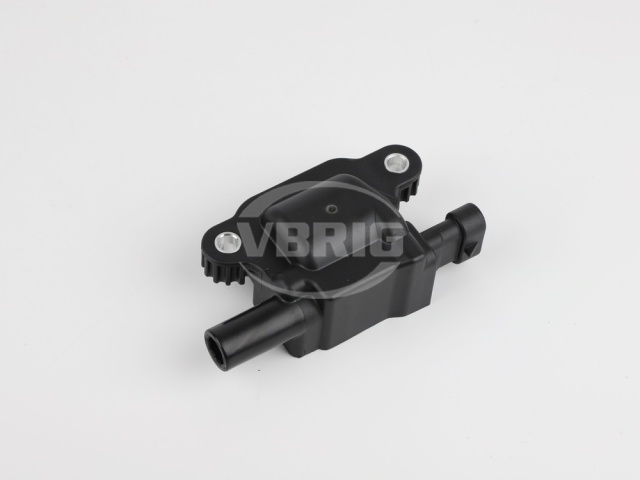 VBRIG Block-type Ignition Coil,VB-5015A