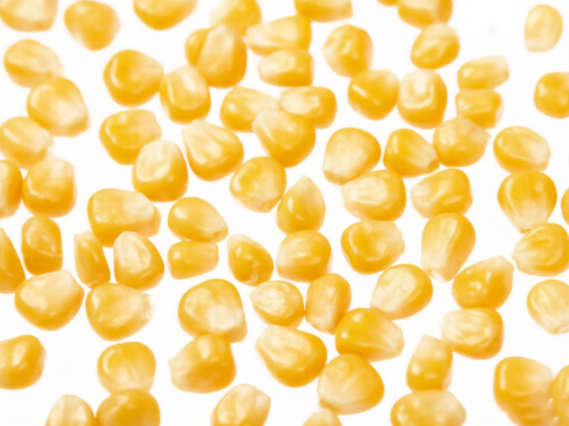FROZEN SWEET CORN GRAINS（20LB）