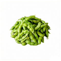 FROZEN SOYBEANS