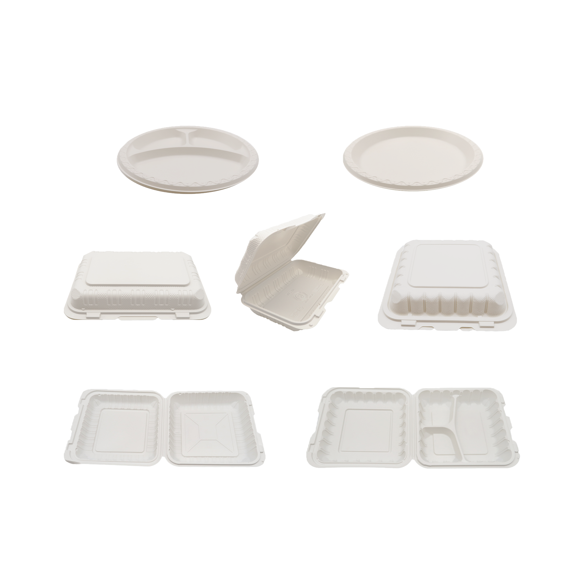 Disposable PP Corrugated Box