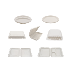 Disposable PP Corrugated Box