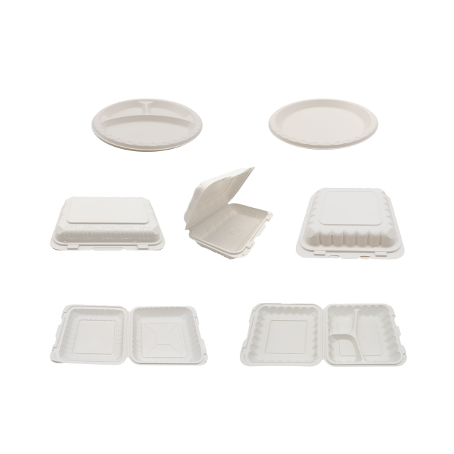 Disposable PP Corrugated Box
