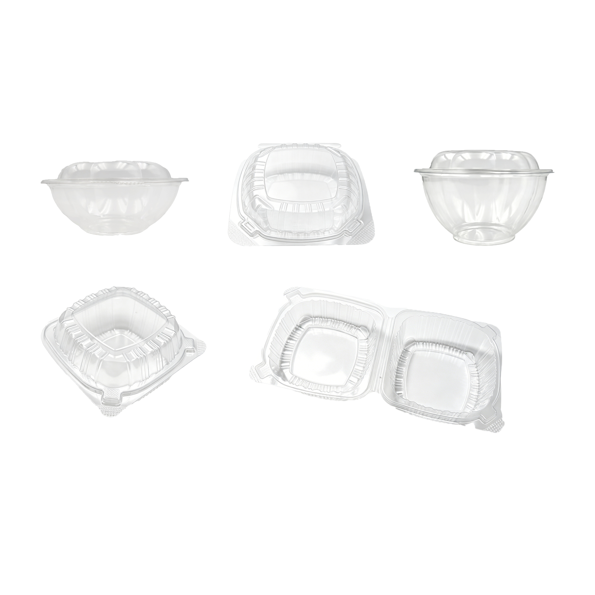 Clear Bento Boxes