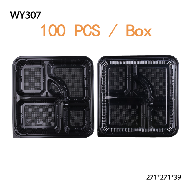 Sushi box - bento box