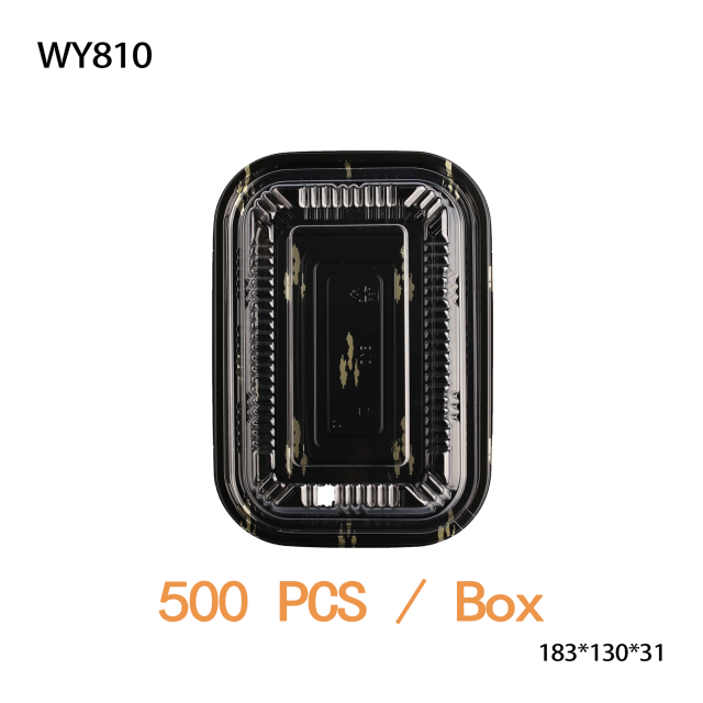 Sushi box - lunch box