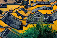 "So Chongqing" 5-Day Tour (For Groups of 2–8),MY SHOP,"So Chongqing" 5-Day Tour (For Groups of 2–8)