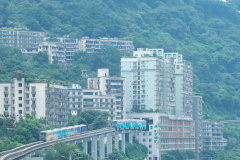 "So Chongqing" 5-Day Tour (For Groups of 2–8),MY SHOP,"So Chongqing" 5-Day Tour (For Groups of 2–8)