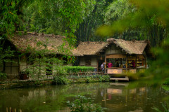 8-Day Tour of the Chongqing-Sichuan Region (Arrive in Chengdu, Depart from Chongqing),MY SHOP,8-Day Tour of the Chongqing-Sichuan Region (Arrive in Chengdu, Depart from Chongqing)