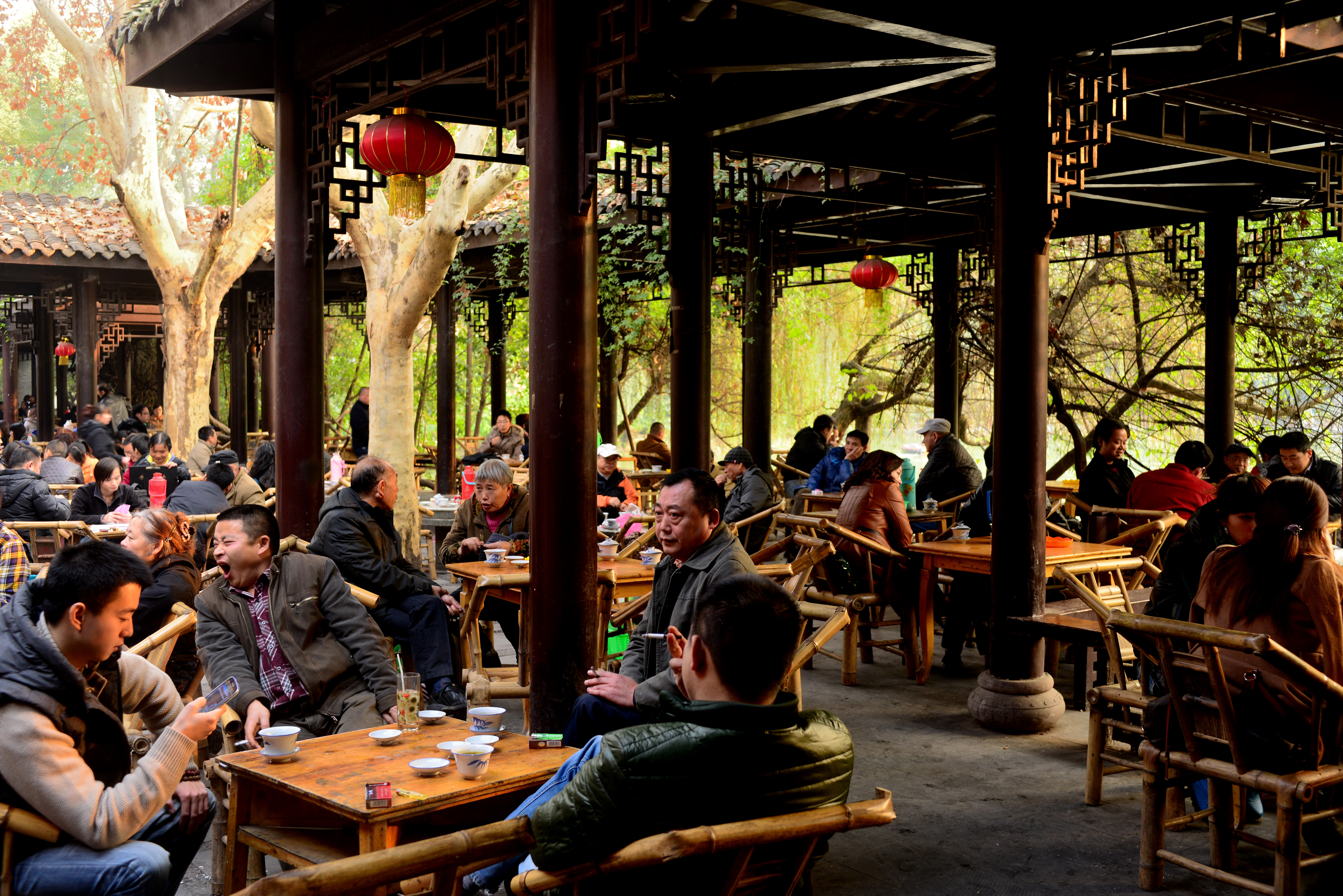 8-Day Tour of the Chongqing-Sichuan Region (Arrive in Chengdu, Depart from Chongqing),MY SHOP,8-Day Tour of the Chongqing-Sichuan Region (Arrive in Chengdu, Depart from Chongqing)