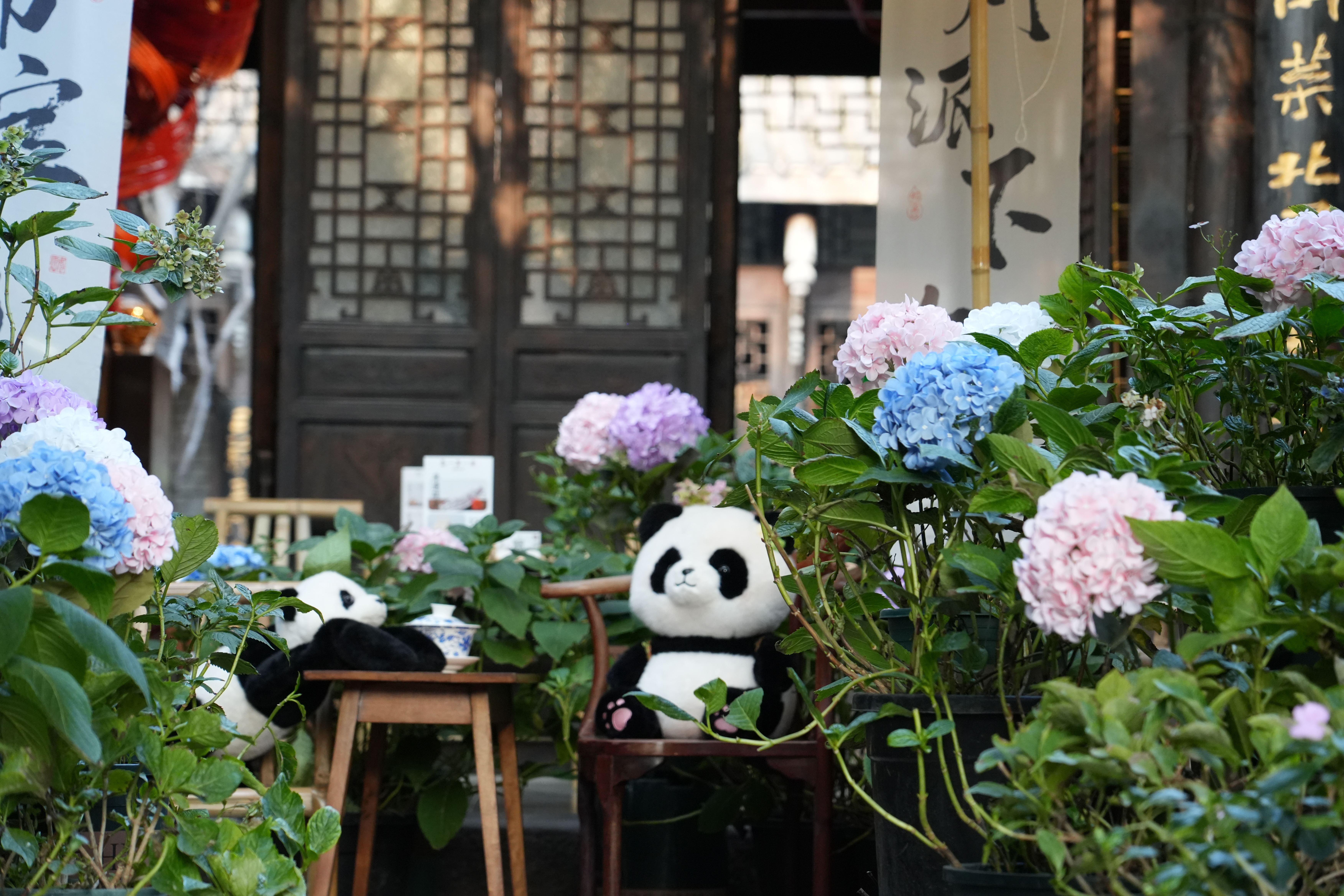 8-Day Tour of the Chongqing-Sichuan Region (Arrive in Chengdu, Depart from Chongqing),MY SHOP,8-Day Tour of the Chongqing-Sichuan Region (Arrive in Chengdu, Depart from Chongqing)