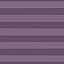 36-purple Stripe