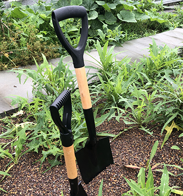 Garden shovel with wood handle