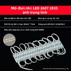 Mô-đun nhỏ LED 2835 12V 2 bóng đèn [Ánh trung tính siêu sáng] 20 khối