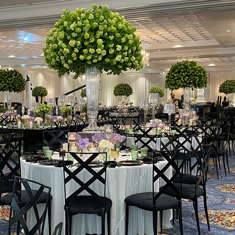 FOSHAN Factory's Iron Wedding Cross Back Chameleon Chair for Events Hotels Rental