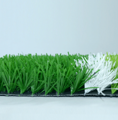 sport grass,MY SHOP,sport grass