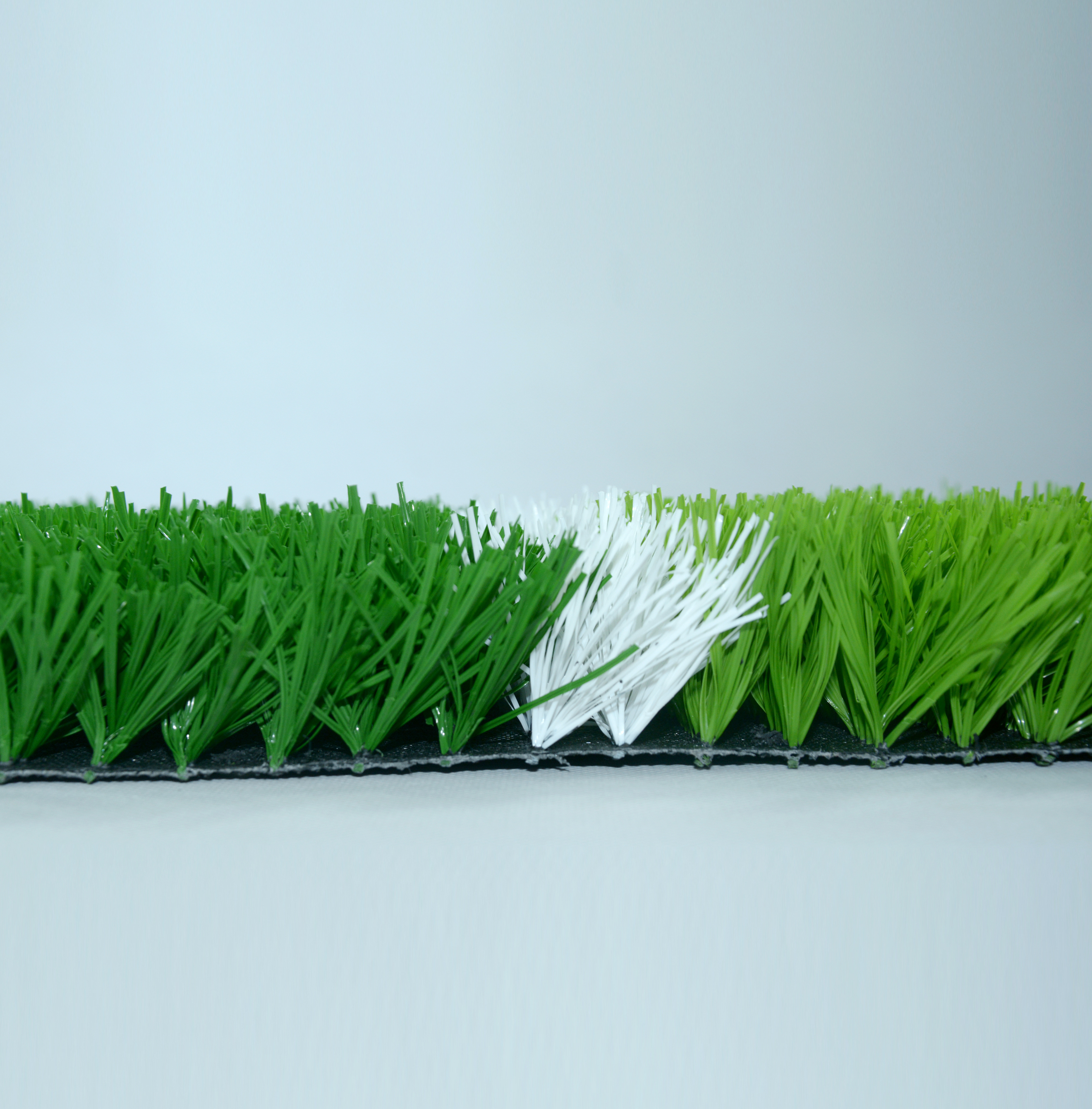 sport grass,MY SHOP,sport grass