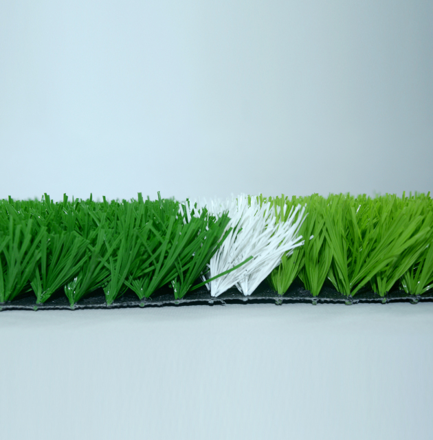 sport grass,MY SHOP,sport grass