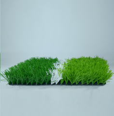 sport grass,MY SHOP,sport grass