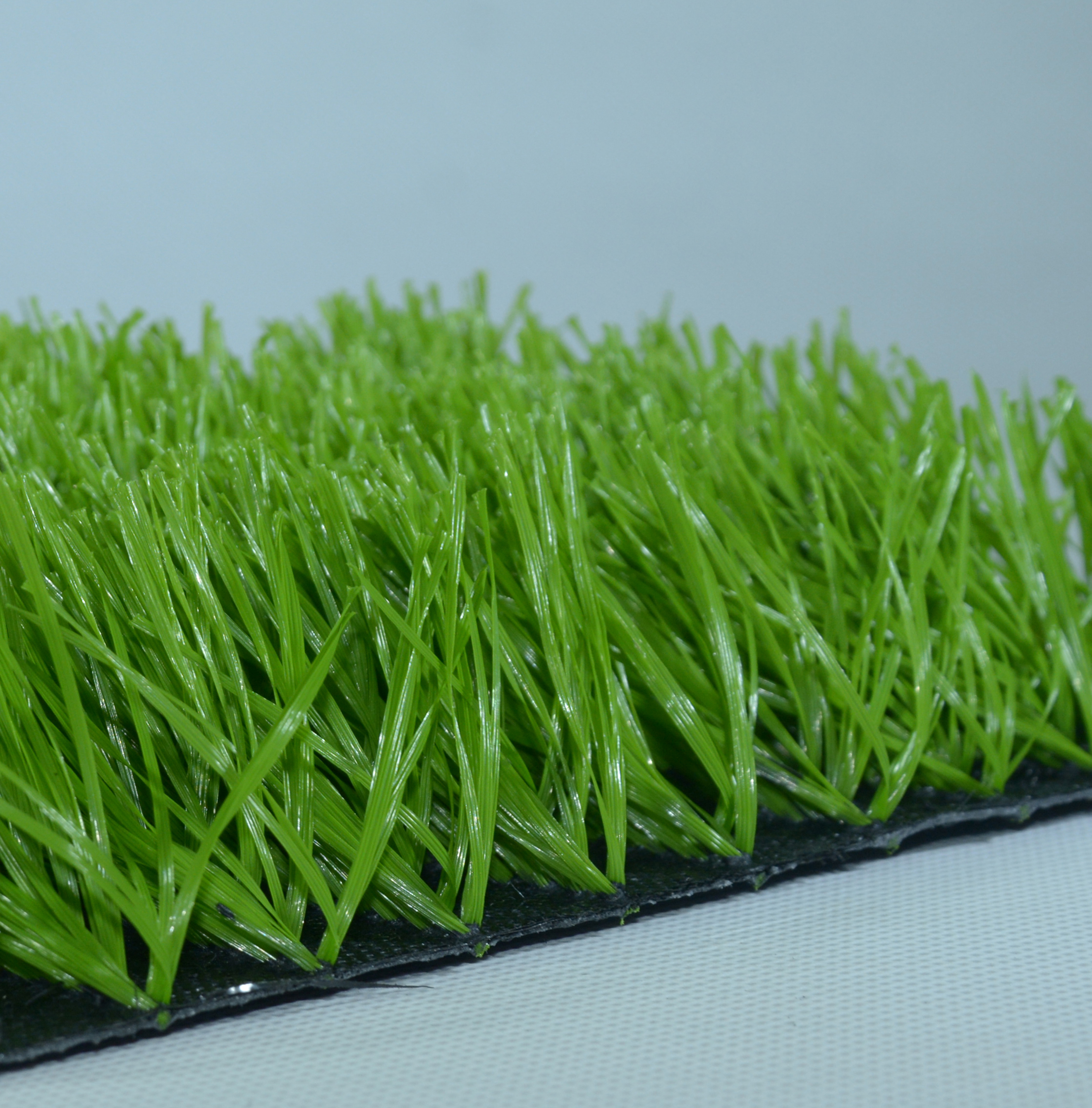 sport grass,MY SHOP,sport grass