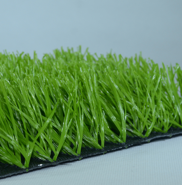 sport grass,MY SHOP,sport grass
