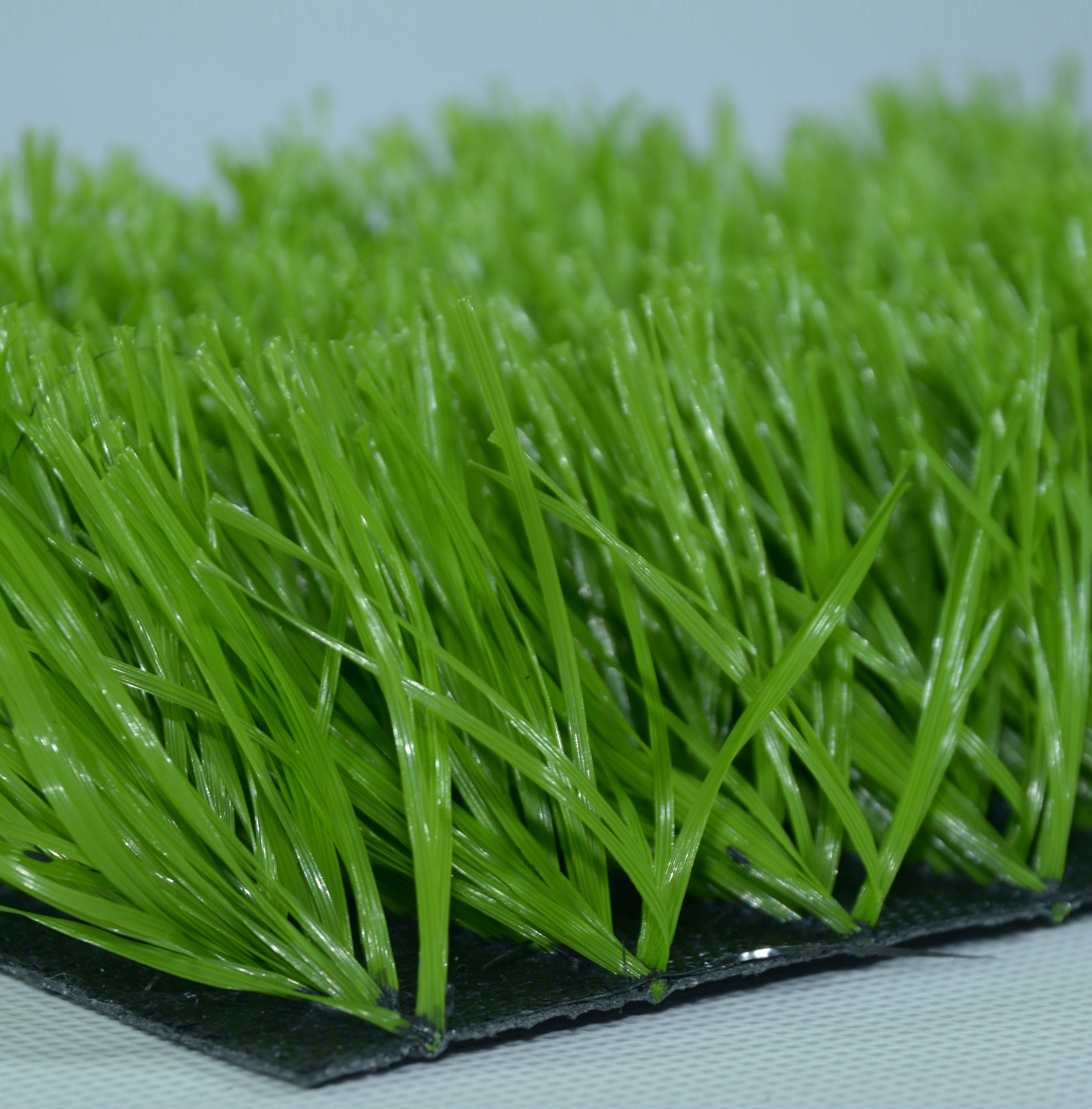 sport grass,MY SHOP,sport grass