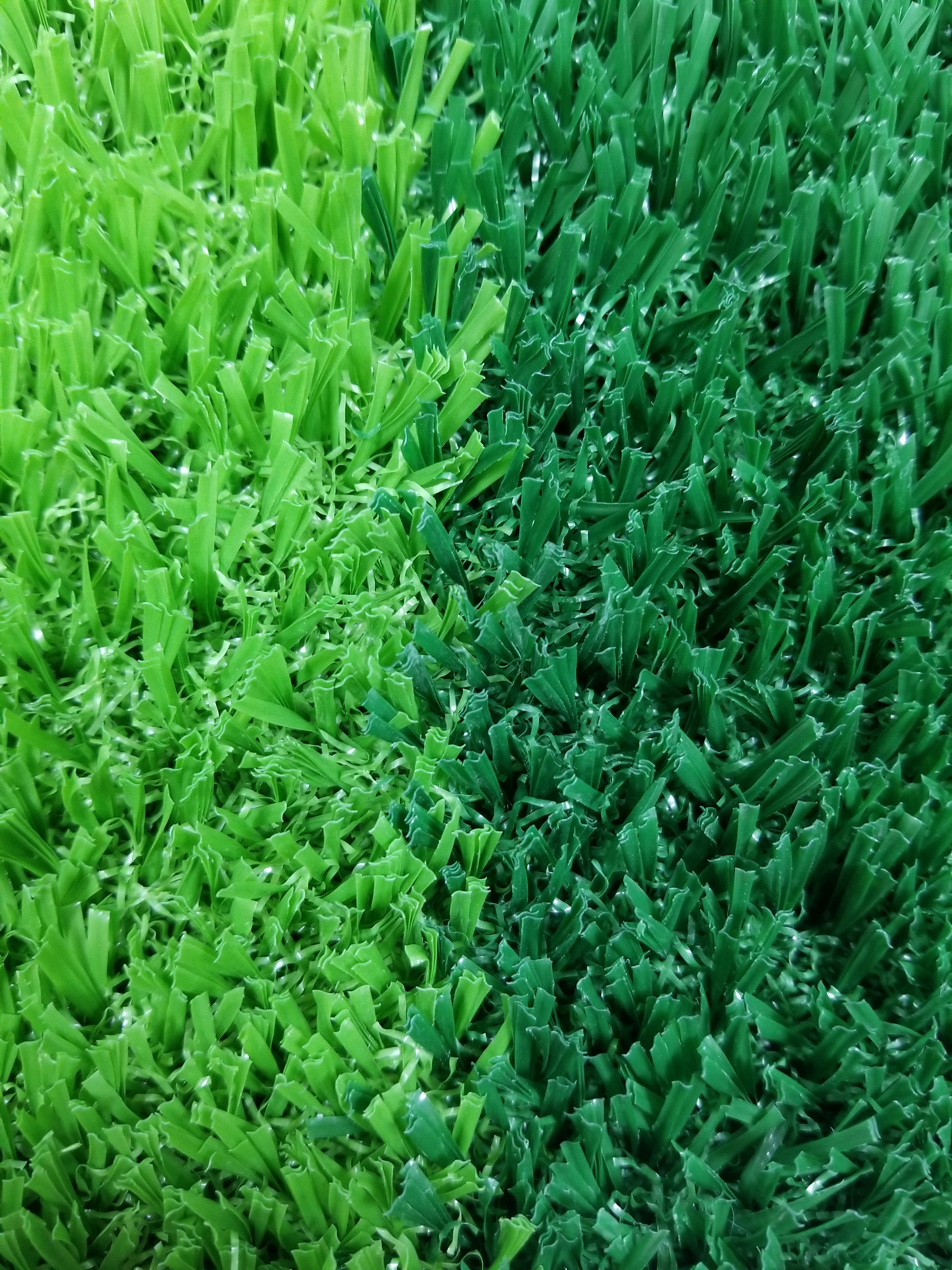 sport grass,MY SHOP,sport grass