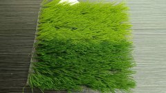 Find similar icon Artificial Grass Indoor Outdoor Basketball Court Flooring Home Decoration Items Artificial Grass Turf for Garden Landscaping,MY SHOP,Find similar icon Artificial Grass Indoor Outdoor Basketball Court Flooring Home Decoration Items Artificial Grass Turf for Garden Landscaping