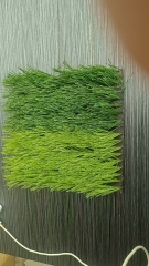 PreNext Find similar icon Indoor Waterproof Plastic Grass Turf for Soccer Basketball Pickleball Green Hockey Mat 20mm Pile Flooring Outdoor Carpet Court,MY SHOP,PreNext Find similar icon Indoor Waterproof Plastic Grass Turf for Soccer Basketball Pickleball Green Hockey Mat 20mm Pile Flooring Outdoor Carpet Court