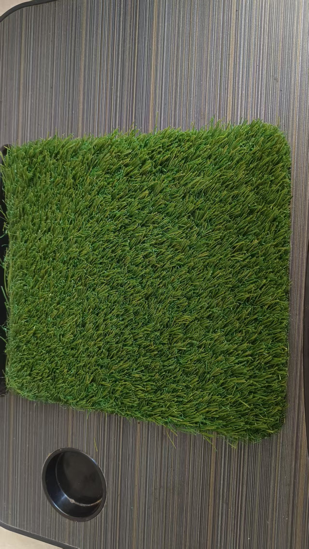 With our own brand artificial Turf Suitable for PP+PE Material for 2026,HealthLife,With our own brand artificial Turf Suitable for PP+PE Material for 2026