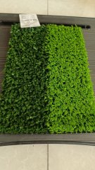 Chinese Lawns Artificial Grass Carpet Plant  sport Outdoor Turf  to German,HealthLife,Chinese Lawns Artificial Grass Carpet Plant  sport Outdoor Turf  to German