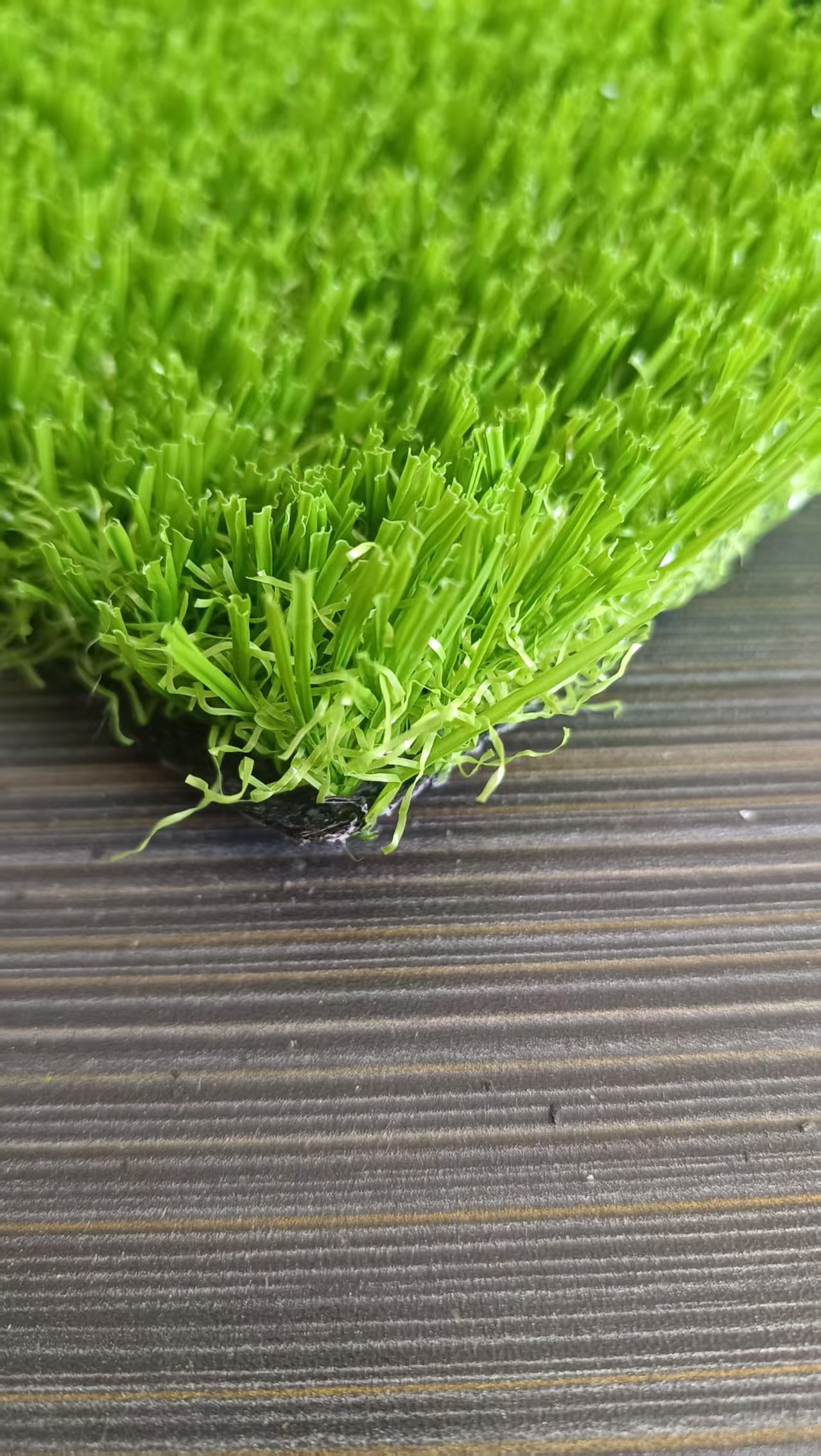 Chinese unfilled Lawns infilled Artificial Grass Carpet Plant  sport Outdoor Turf  to Australia,HealthLife,Chinese unfilled Lawns infilled Artificial Grass Carpet Plant  sport Outdoor Turf  to Australia
