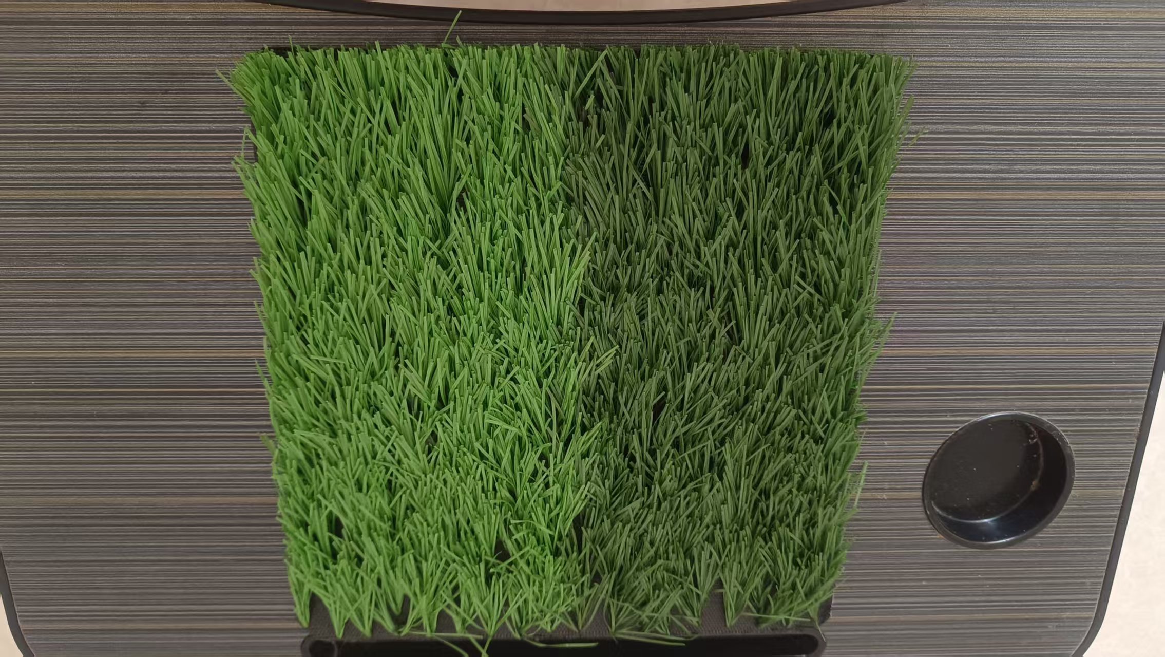 Chinese Lawns Artificial Grass Carpet Plant  sport Outdoor Turf  to Australia for new model,HealthLife,Chinese Lawns Artificial Grass Carpet Plant  sport Outdoor Turf  to Australia for new model