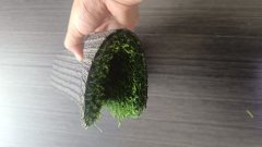 New artificial Turf Suitable for PP+PE Material for yard garden to England,HealthLife,New artificial Turf Suitable for PP+PE Material for yard garden to England