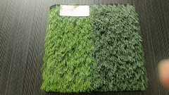 filled Lawns infilled Artificial Grass Carpet Plant  sport Outdoor Turf  to Japan,HealthLife,filled Lawns infilled Artificial Grass Carpet Plant  sport Outdoor Turf  to Japan